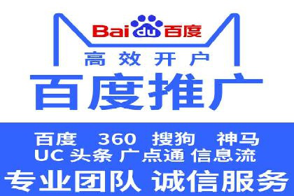 SEM搜索引擎优化：成功案例解析